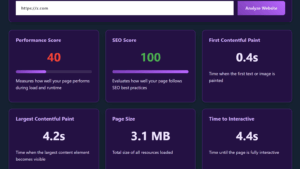 Website SEO & Health Test